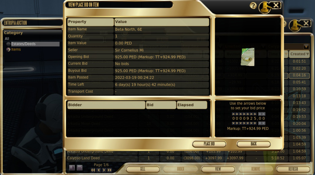 auction detail window